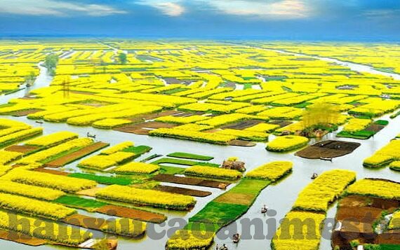 2019中文字幕永久在线-2019中文字幕，开启无界限的观影新体验