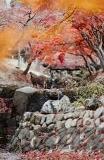 91大神制片麻豆-你想要了解的是与91大神制片麻豆这个关键词相关的内容。在提到这些词汇时，我们首先应当保持对互联网相关现象的正式与尊重，同时进行适当的科普和解释