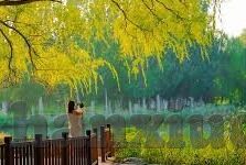 91麻豆精品国产福利在线观看-解析国产影视精品，探秘91麻豆背后