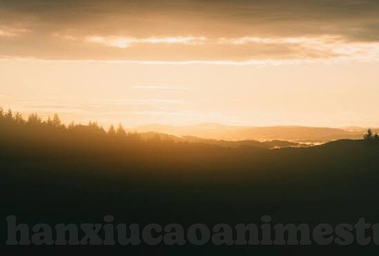 95视频在线观看麻豆-探索次元边缘，95 视频在线观看麻豆现象的冷静旁观