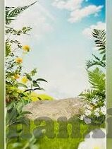 成人h视频在线观看-成人H视频的在线世界，理解与界限
