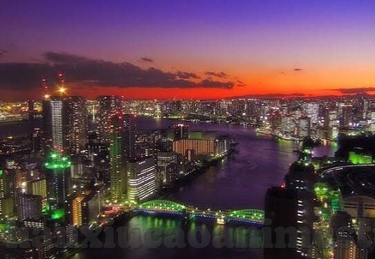 麻豆传媒映画视频-多元视角下的新媒体艺术探索，麻豆传媒映画视频的独特魅力