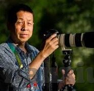 人妻 中文无码 中出-家庭与情感的细腻交织，人妻的内心世界与情感探索