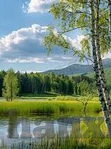 糖心app苹果手机下载-糖心app，苹果手机上的便捷社交新体验