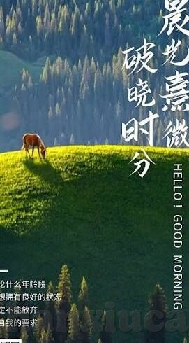 中文字幕久久久久人妻-探索中文字幕的魅力，久久久久人妻的细腻情感